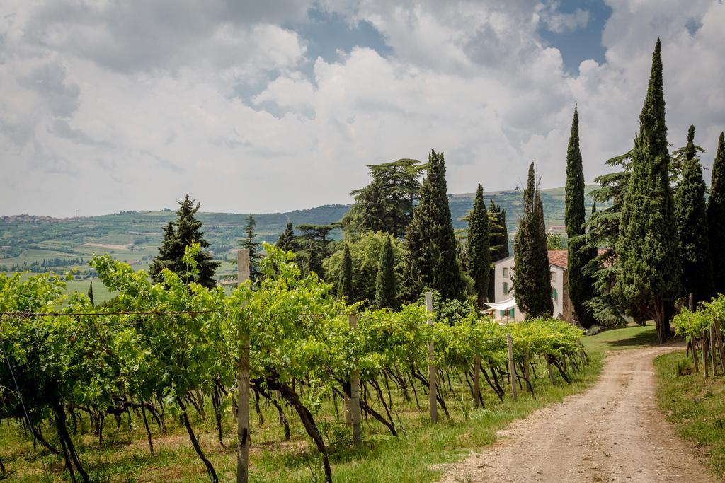 Massimago Wine Relais Villa Mezzane di Sotto ภายนอก รูปภาพ