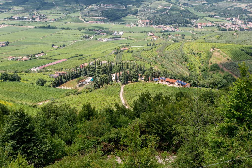 Massimago Wine Relais Villa Mezzane di Sotto ภายนอก รูปภาพ