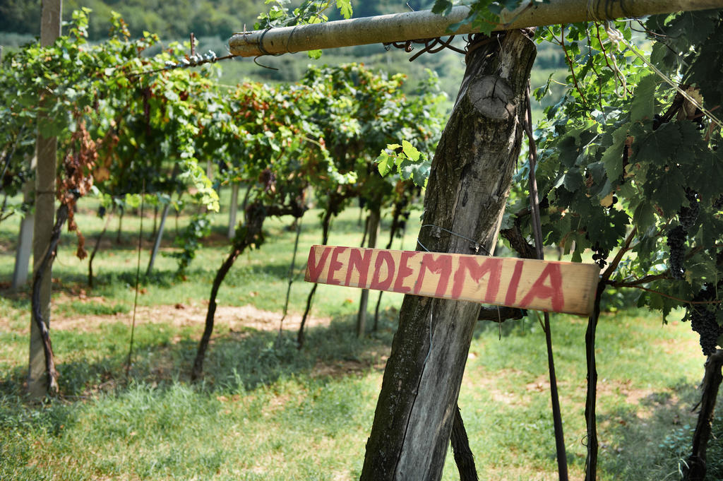 Massimago Wine Relais Villa Mezzane di Sotto ภายนอก รูปภาพ